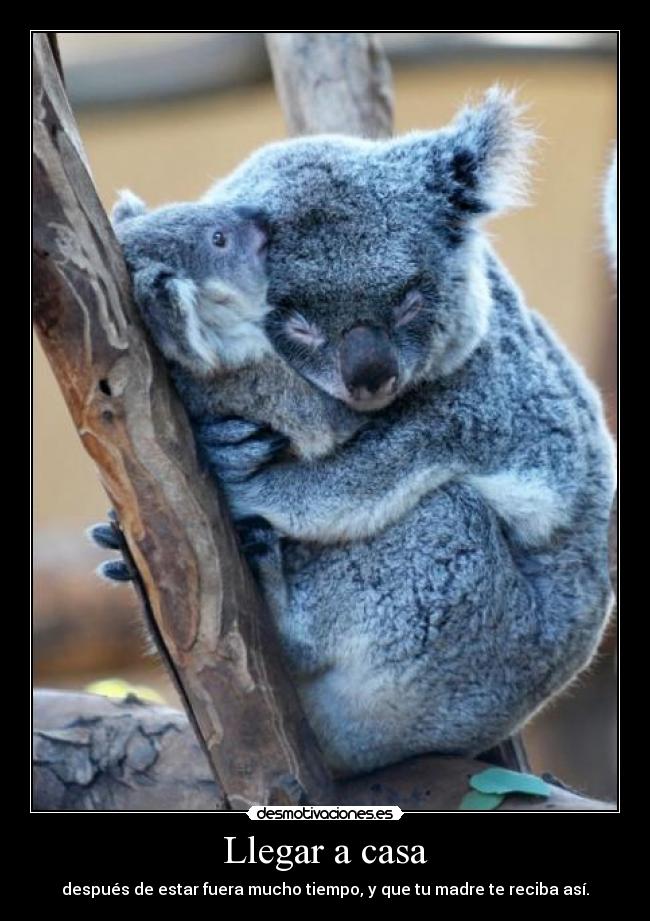 Llegar a casa - después de estar fuera mucho tiempo, y que tu madre te reciba así.