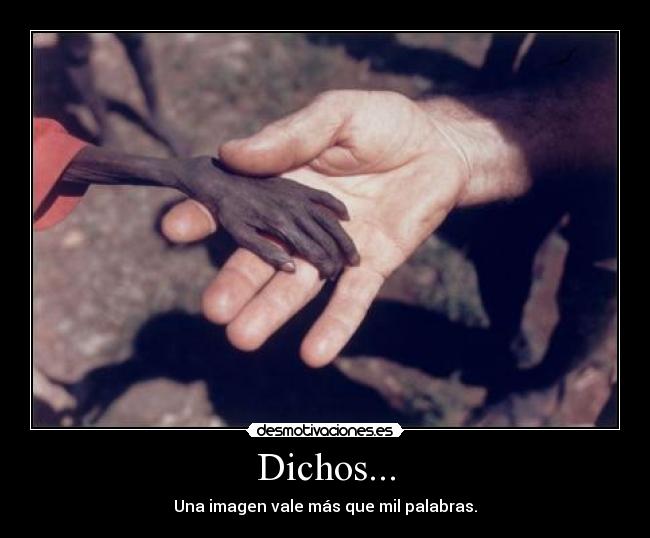 Dichos... - 