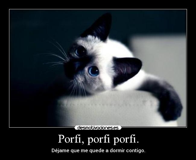 Porfi, porfi porfi. - Déjame que me quede a dormir contigo.