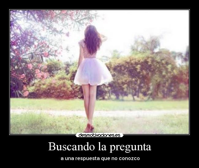 Buscando la pregunta - 