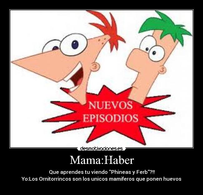 Mama:Haber - Que aprendes tu viendo Phineas y Ferb?!!
Yo:Los Ornitorrincos son los unicos mamiferos que ponen huevos
