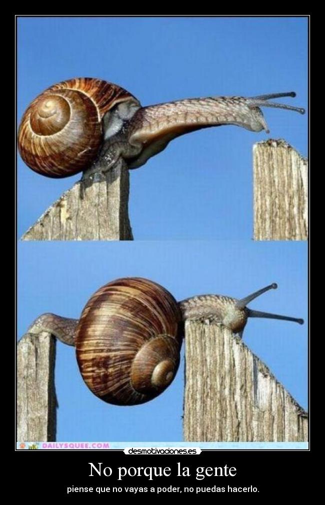 carteles porque gente piense que vayas poder patapim patapam desmotivaciones