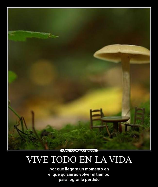 VIVE TODO EN LA VIDA -