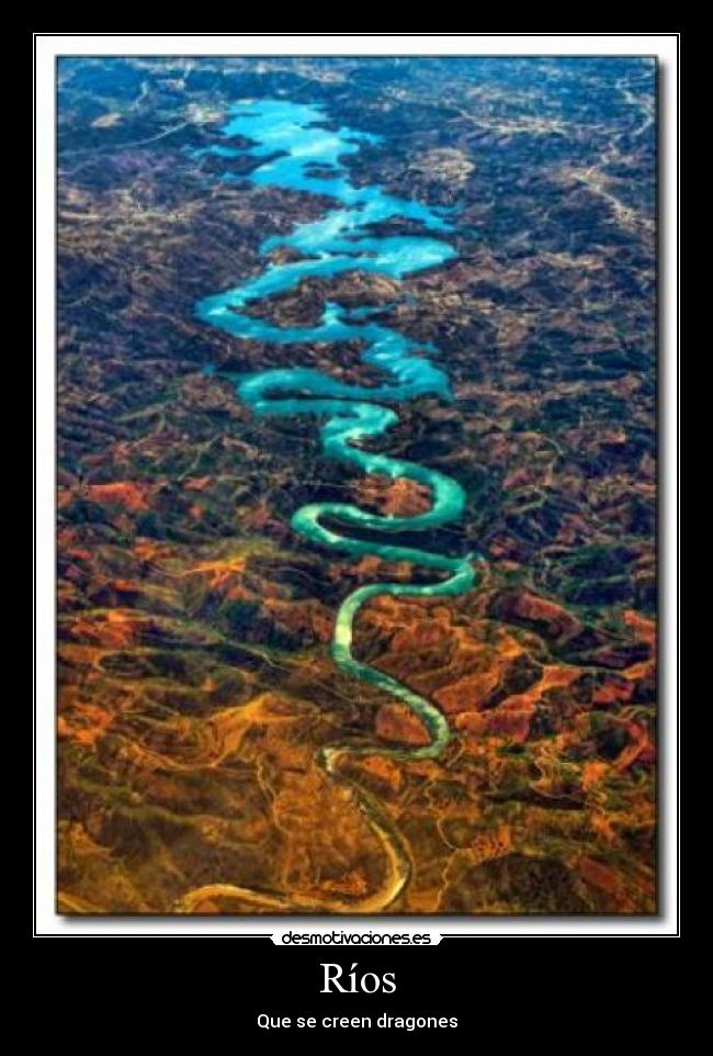 carteles dragon desmotivaciones