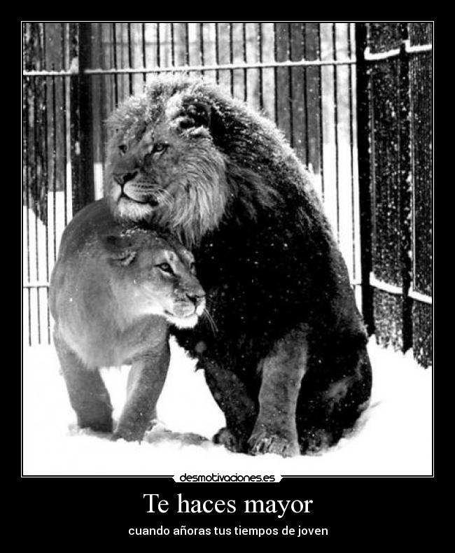 Te haces mayor - 