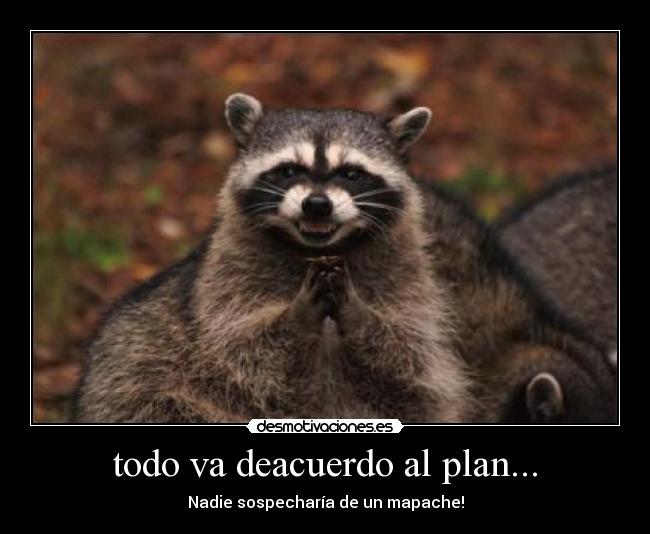 todo va deacuerdo al plan... - 