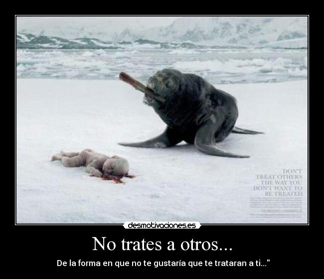 No trates a otros... - De la forma en que no te gustaría que te trataran a ti...