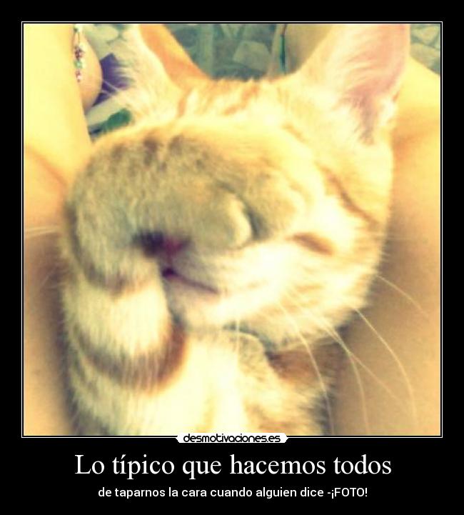 carteles wantaso desmotivaciones