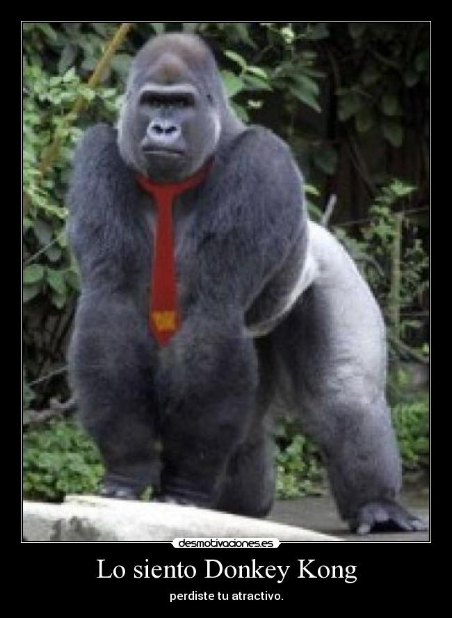 Lo siento Donkey Kong - 