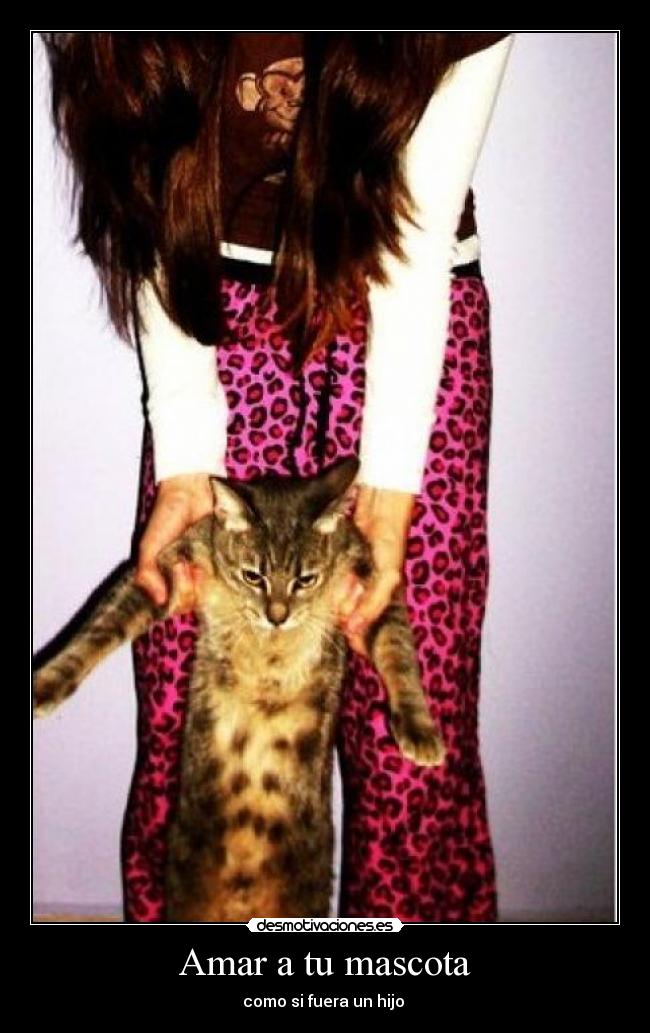 Amar a tu mascota -