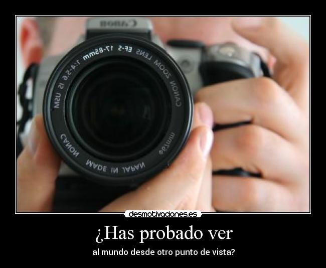 carteles fotografia desmotivaciones