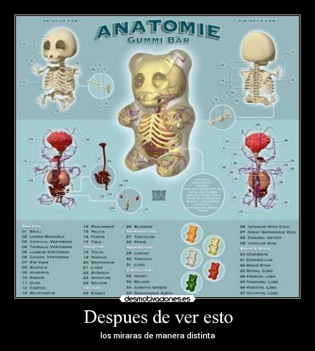 Despues de ver esto - 