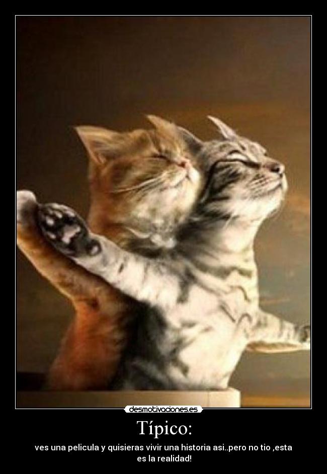 Típico: - ves una pelicula y quisieras vivir una historia asi..pero no tio ,esta es la realidad!