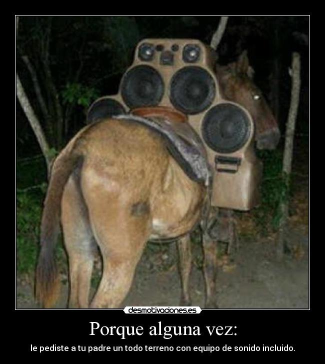 Porque alguna vez: - 