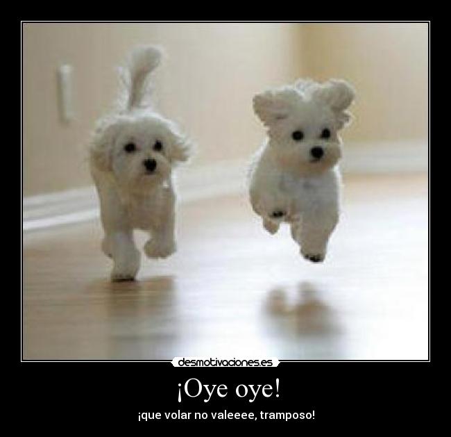 ¡Oye oye! - ¡que volar no valeeee, tramposo!