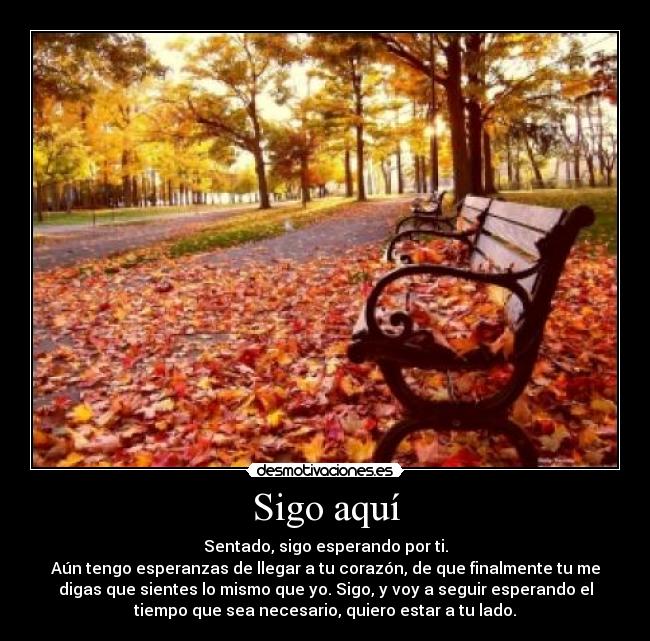 Sigo aquí - Sentado, sigo esperando por ti.
Aún tengo esperanzas de llegar a tu corazón, de que finalmente tu me
digas que sientes lo mismo que yo. Sigo, y voy a seguir esperando el
tiempo que sea necesario, quiero estar a tu lado.