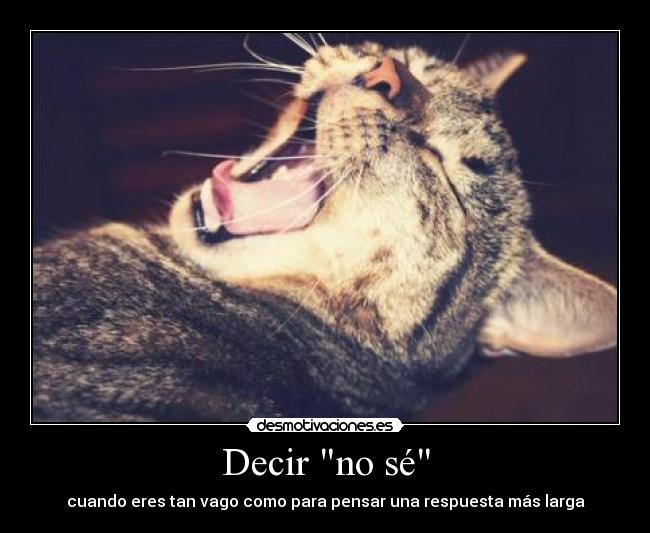 Decir no sé -