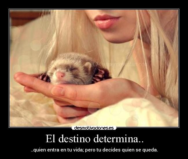 El destino determina.. - ..quien entra en tu vida; pero tu decides quien se queda.