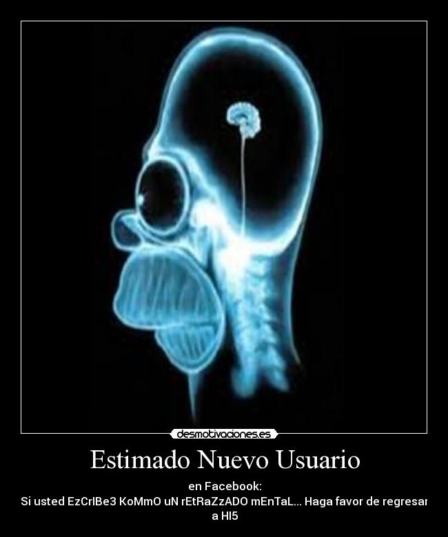 Estimado Nuevo Usuario - 