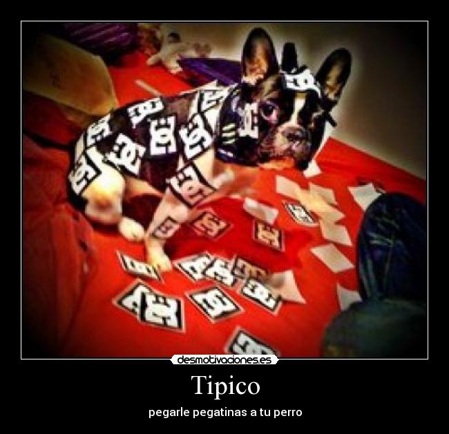 Tipico - pegarle pegatinas a tu perro