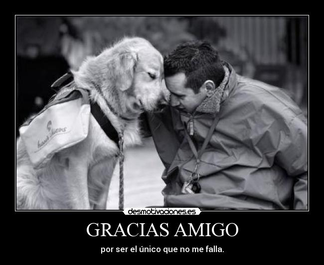 GRACIAS AMIGO - 