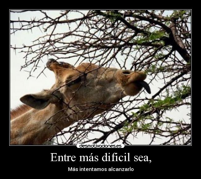 Entre más dificil sea, - Más intentamos alcanzarlo