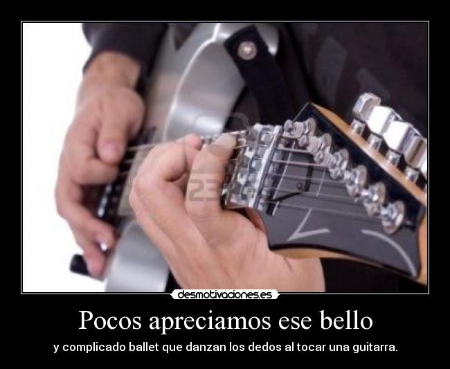 Pocos apreciamos ese bello - 