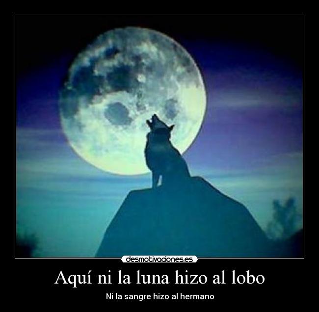 Aquí ni la luna hizo al lobo - Ni la sangre hizo al hermano