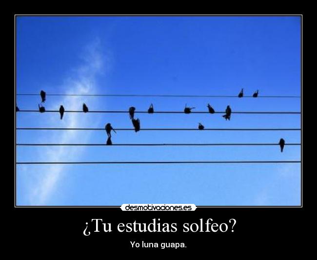 ¿Tu estudias solfeo? - Yo luna guapa.