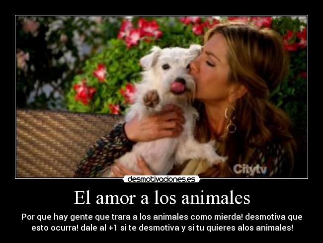 El amor a los animales - 