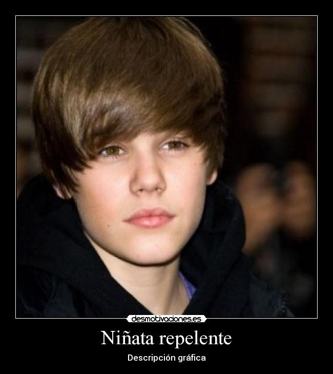 Niñata repelente - Descripción gráfica