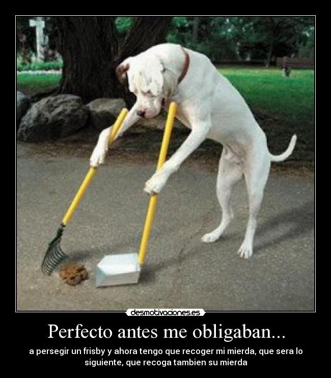 carteles perfecto antes desmotivaciones