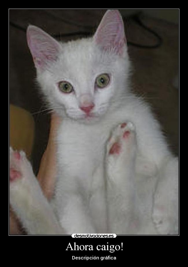 carteles walt_k desmotivaciones