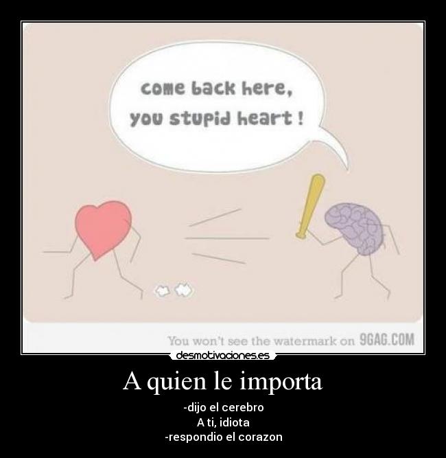 A quien le importa - -dijo el cerebro
A ti, idiota
-respondio el corazon
