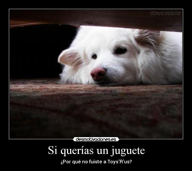 Si querías un juguete - ¿Por qué no fuiste a ToysRus?