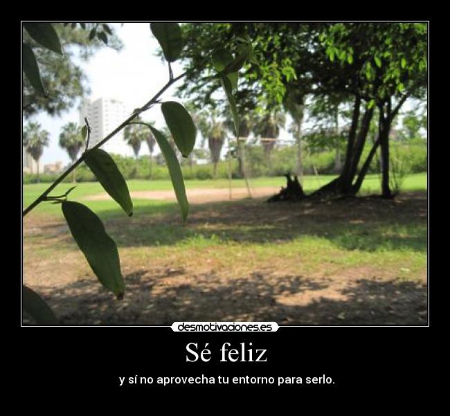 carteles feliz aprovecha entorno para serlo desmotivaciones