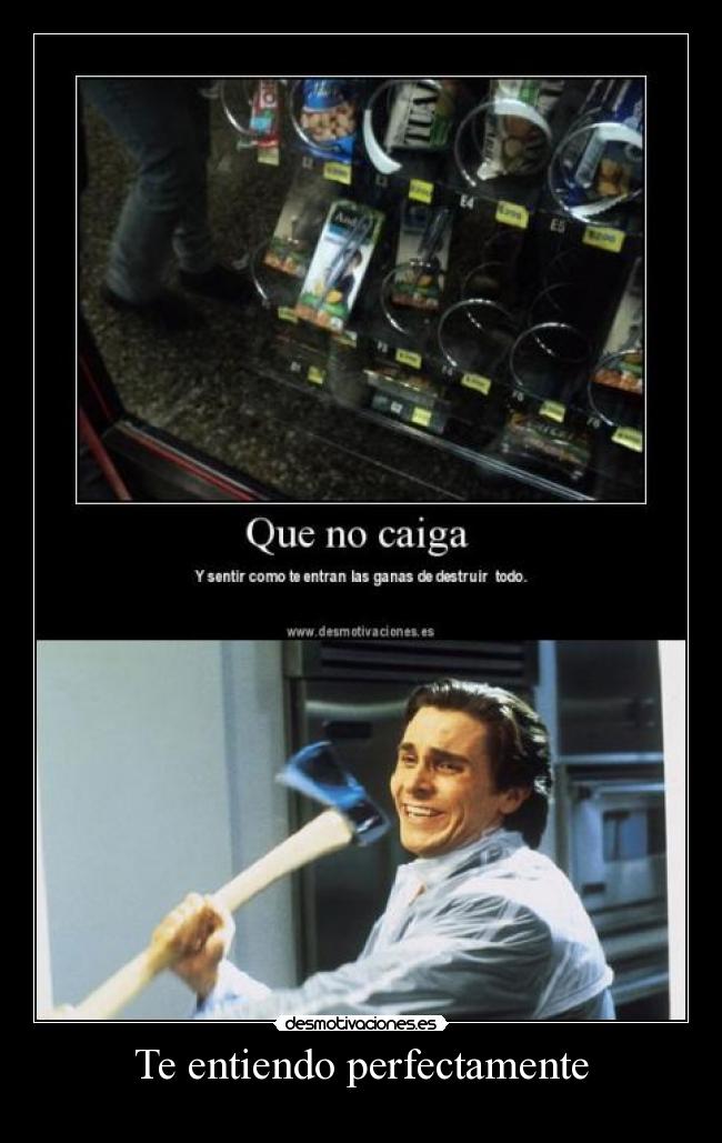 Te entiendo perfectamente -