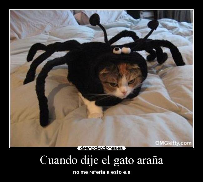 Cuando dije el gato araña - no me refería a esto e.e