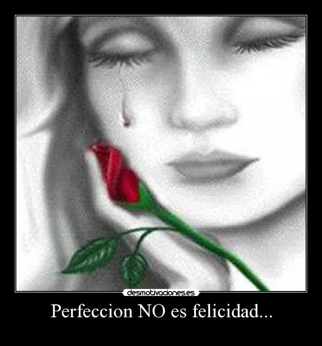 Perfeccion NO es felicidad... - 