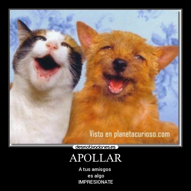 APOLLAR - A tus amisgos
es algo
IMPRESIONATE