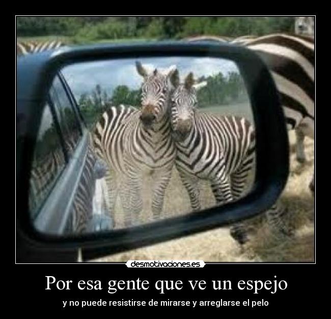 carteles desmotivaciones desmotivaciones