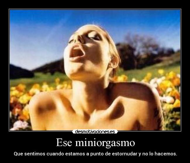 Ese miniorgasmo - Que sentimos cuando estamos a punto de estornudar y no lo hacemos.