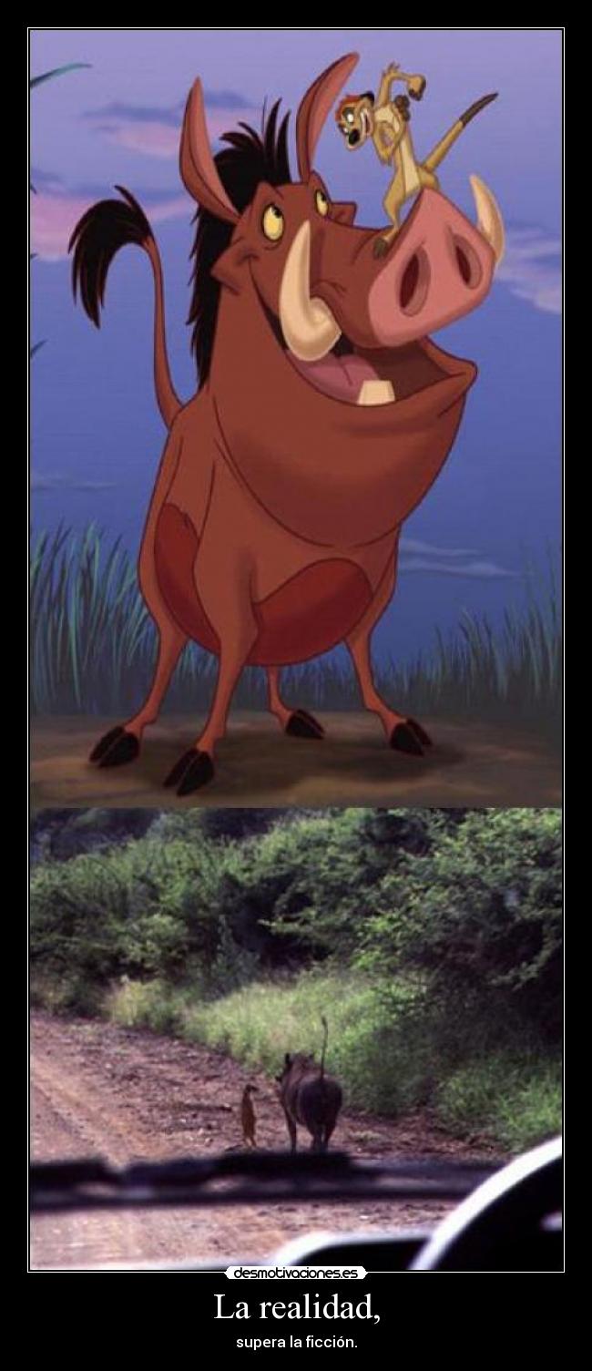 La realidad, - supera la ficción.