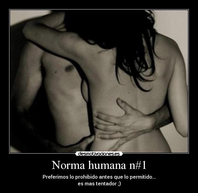 Norma humana n#1 - 