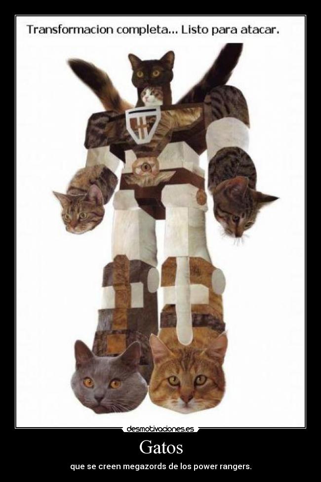 Gatos - que se creen megazords de los power rangers.
