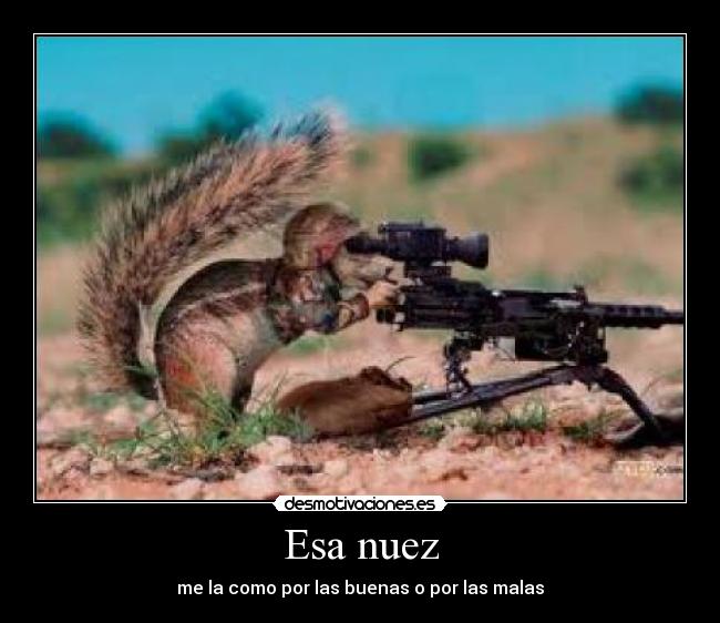 carteles desmotivaciones