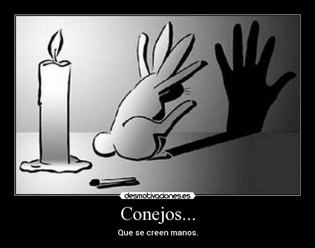 Conejos... - 