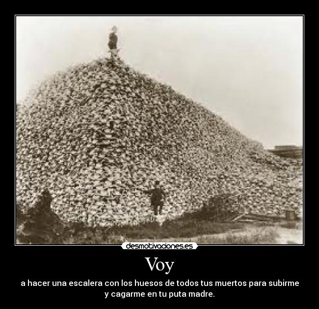 Voy - a hacer una escalera con los huesos de todos tus muertos para subirme
y cagarme en tu puta madre.