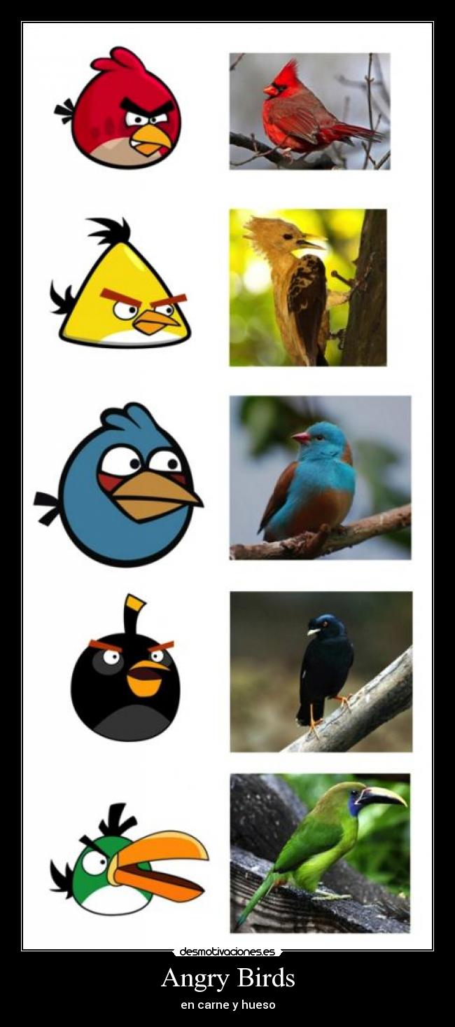Angry Birds -