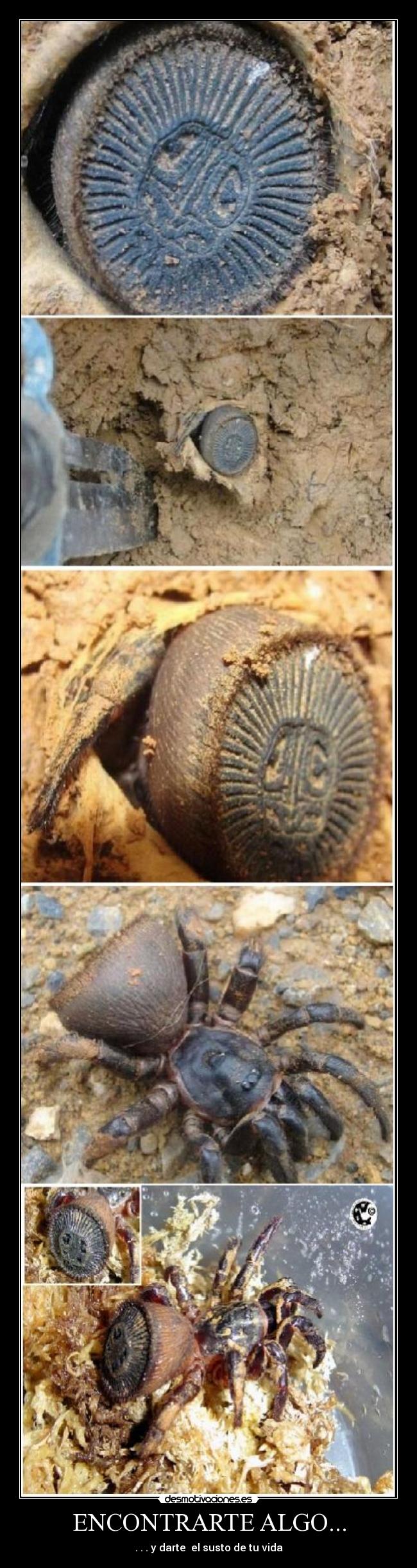 ENCONTRARTE ALGO... - . . . y darte el susto de tu vida